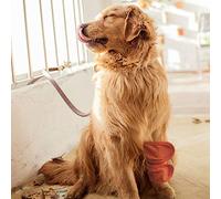 Alomejor Protector de Pierna para y Gato, Rodilleras Elásticas para Recuperación, Dedos Cálidos de Invierno, S/M/L, Perros para Soporte de Articulaciones para Mascotas, Negro, 2 uds. (M)