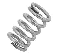 Alomejor Resorte de Puente Trémolo para Guitarra Eléctrica, Elasticidad Fuerte, Mejora la Desafinación para Guitarra Eléctrica de la Serie, Plata de 1,22 Pulgadas (SILVER)