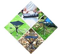 Alomejor Silla Plegable Compacta para Exteriores, Alta Resistencia, Fácil de Configurar, para Acampar, Senderismo, Observación de Flores de Cerezo para la Familia, Acero Inoxidable, Tamaño Grande