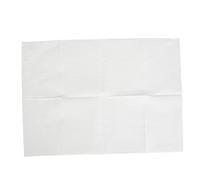 Alomejor Toallas de Mesa para Decoración de Uñas, 80 Piezas, Esteras Cómodas para Belleza, Suministros de Cubierta de Bandeja de Molienda para Decoración de Uñas (WHITE)