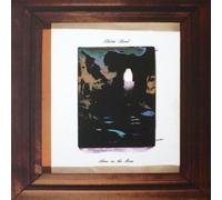 Alone On The Moon [Vinilo]