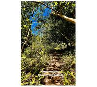 Along my Path....: Stories, Lessons, and Quotes