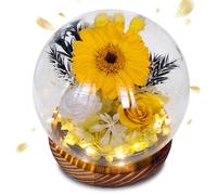 Aloskart Rosa Eterna Girasoles en Cúpula de Cristal con Luces Led,Girasol Preservada Cupula, Girasol Rosas Perpetua Regalo para San Valentín, Día de la Madre y Boda,Aniversario (Girasol)