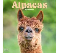 Alpacas 2027 Calendar | Square Wall Calendar | Animal Gift | Plastic Free Packaging | by Avonside Publishing