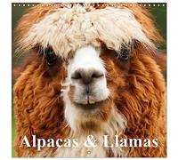 Alpacas & Llamas (Calendar 2026 12" x 24" / 30 x 60 cm (abierto)) CALVENDO 12 Month Wall Calendar