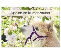 Alpakas im Blumenzauber (Wandkalender 2026 DIN A3 quer), CALVENDO Monatskalender: Gemeinsam mit der Blumenpracht und der besonderen Ausstrahlung der ... und sind in jedem Raum ein echter Hingucker.