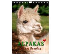 Alpakas - süß und flauschig (Wandkalender 2026 DIN A4 hoch), CALVENDO Monatskalender: Eindrucksvolle Bilder der niedlichen Tiere.