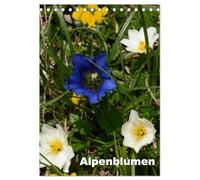Alpenblumen (Tischkalender 2026 DIN A5 hoch), CALVENDO Monatskalender: Dieser Kalender zeigt die bunte Vielfalt der Alpenflora.
