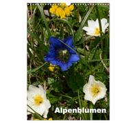 Alpenblumen (Wandkalender 2026 DIN A3 hoch), CALVENDO Monatskalender: Dieser Kalender zeigt die bunte Vielfalt der Alpenflora.