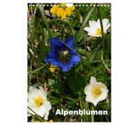 Alpenblumen (Wandkalender 2026 DIN A4 hoch), CALVENDO Monatskalender: Dieser Kalender zeigt die bunte Vielfalt der Alpenflora.