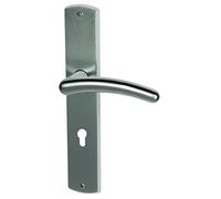 Alpertec 32987913 Isabella-LS - Herraje para puerta (latón pulido, acero inoxidable satinado, para puertas de entrada de apartamentos, ambos lados)