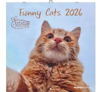 Funny Cats 2026 - Broschürenkalender 30x30 cm (30x60 geöffnet) - Kalender mit Platz für Notizen - Katzen - Bildkalender - Wandplaner - Katzenkalender