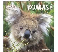 Alpha Edition - Calendario de pared 2026 de Koalas de 30 x 30 cm (30 x 60 abierto) como calendario de folletos con 12 motivos de animales, calendario con espacio para notas, idea de regalo para
