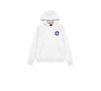 Alpha Industries Backprint Logo Hoodie Sudaderas con capucha Talla 3XL - Gris