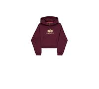 Alpha Industries Basic Big Logo Puff Print Loose Hoodie Sudaderas con capucha Talla L - Rojo