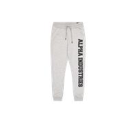 Alpha Industries Big Letters Jogger Pantalones y shorts Gris