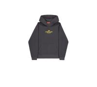 Alpha Industries Return To Base Hoodie para Hombre Vintage Grey XXL
