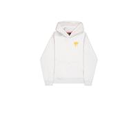 Alpha Industries Spray Print Hoodie para Hombre Pastel Grey Melange XS