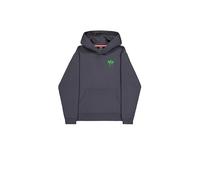 Alpha Industries Spray Print Hoodie para Hombre Vintage Grey L