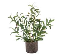 AlphaAcc Ramas de Olivo Artificiales de 18 Pulgadas, Planta en Maceta de Aspecto Real, árbol de Olivo Falso con Hojas y Frutas realistas en Maceta de Cemento Negro rústico para decoración de