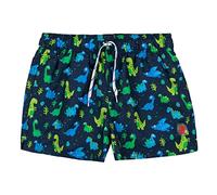 ALPHADVENTURE - Bañador Niño, Ideal para el Verano, la Playa y la Piscina Bañador Niño Natación Bandino con Estampado de Dinosaurios - Tallas Desde los 6 a los 14 años, Color Azul Marino.