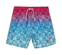 ALPHADVENTURE - Bañador Niño, Ideal para el Verano, la Playa y la Piscina Bañador Niño Natación Benoni Jr. De Colores en degradé - Tallas Desde los 6 a los 14 años, Colores Azul, Morado y Rosa.
