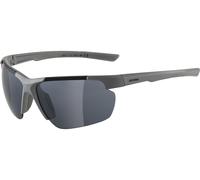 Alpina Gafas Deportivas Defey HR gris