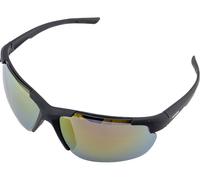 Alpina Gafas Deportivas Defey HR negro