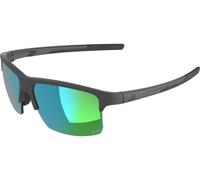 Alpina Gafas Deportivas Eagle Q-Lite gris