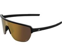 Alpina Gafas Deportivas Ram 2.0 negro