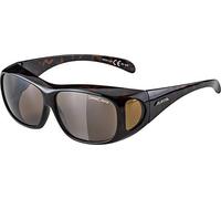Alpina Overview - Gafas de Ciclismo