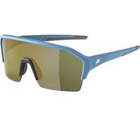 Alpina Ram HR Q-Lite Gafas de Unisex Adulto