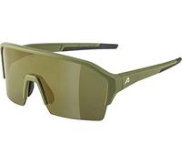 ALPINA Ram Hr Q-lite Sunglasses Unisex adulto (Pack de 1)