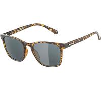 Alpina Sports Yefe P Gafas, Havana Gloss, Talla única Unisex Adulto
