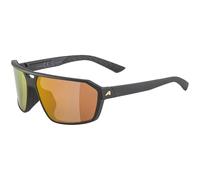 ALPINA SWIFT - Gafas de sol - adultos - black-gold matt - One Size