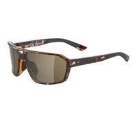 ALPINA Swift Havana Gloss - Gafas de sol elegantes para adultos