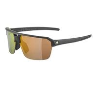ALPINA Swift HR - Gafas de sol elegantes para adultos, color negro y dorado mate