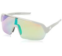 ALPINA Turbo HR Gafas de, Gris Smoke-Grey Matt, Talla única Unisex Adulto