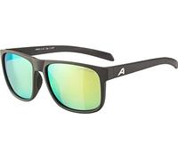 ALPINA Unisex - Adultos, NACAN III gafas de sol, coffee-grey/neon yellow, One Size