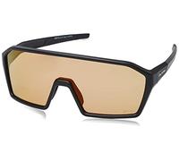 ALPINA Unisex - Adultos, RAM Q-Lite V Gafas Deportivas, Black Matt, One Size