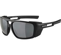 Alpina Skywash Gafas de sol Talla única Negro