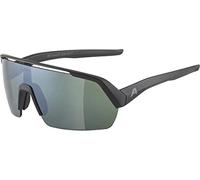 Alpina Turbo HR Q-Lite Gafas de sol Talla única Plateado