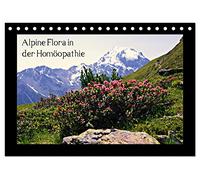Alpine Flora in der Homöopathie (Tischkalender 2026 DIN A5 quer), CALVENDO Monatskalender: Die Flora der Hochalpen unter dem Aspekt der Homöopathie