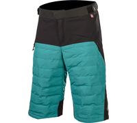 Alpinestars Denali Pantalones cortos para bicicletas, negro-verde, tamaño 30 para Hombres