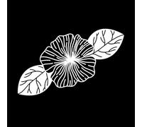 Alquimia floral Calcomanías de pared 36x57.1cm Fácil instalación Blanco