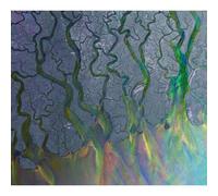 Alt-J - Una Onda Asombrosa