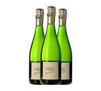 Alta Alella AA Mirgin Brut Nature Cava Reserva 75 cl Espumoso blanco (Caja de 3 Botellas de 75 cl)