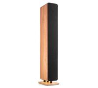 Altavoces Audizio Torre con Bluetooth 5.2, 160W y radio DAB+ FM