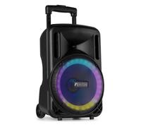 Altavoces Fenton Karaoke Bluetooth 450W con batería y micrófono UHF