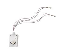 Altavoz Activado por Voz, Que grita Fantasma,Altavoz de Halloween con Grito de Fantasma Activado por Voz - Herramientas de Miedo de Halloween con Pilas y Accesorios de gritos con luz LED para Sala de